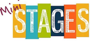 Mini stages 2026